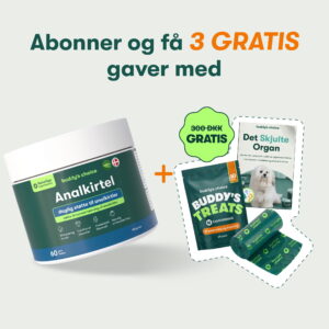 Anaalirauhaset