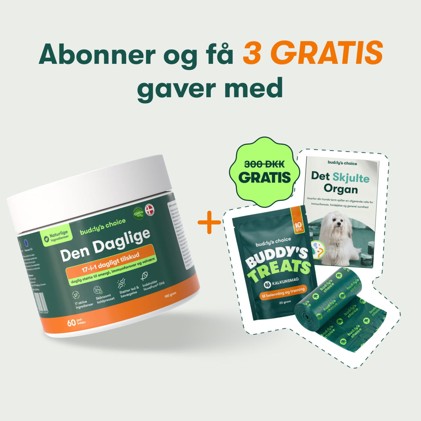 Päivittäinen