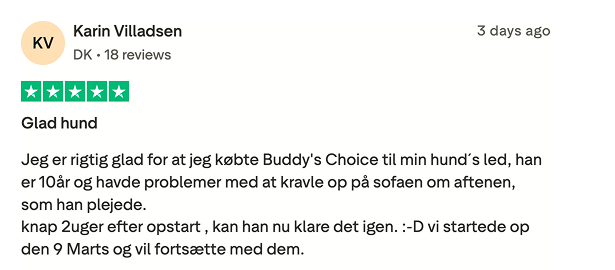 5-stjernet anmeldelse med titlen Glad hund om Buddy's Choice; en 10-årig hund genvinder evnen til at kravle op på sofaen efte