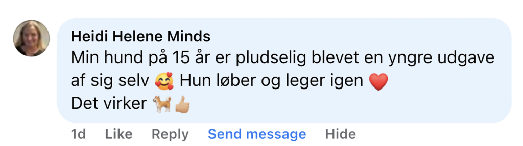 Kommentar: 15-årig hund er blevet yngre, løber og leger igen — Det virker med hjerte-, hunde- og tommelfinger-op-emoji