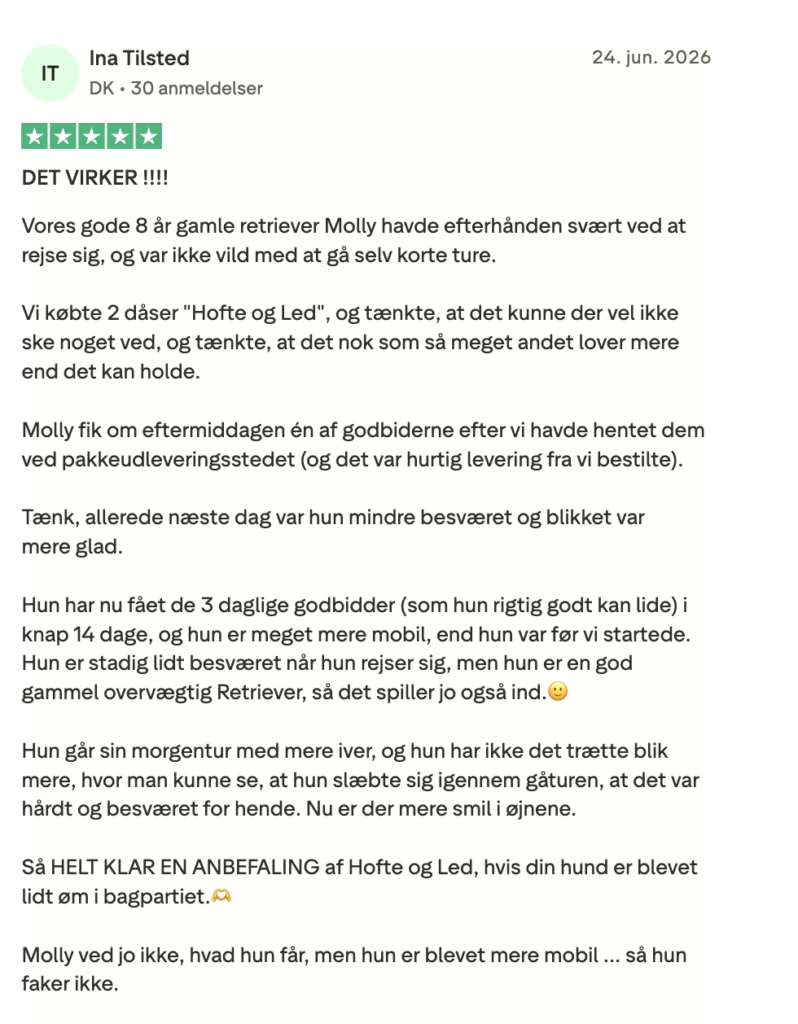 Femstjernet kundeanmeldelse om forbedret mobilitet hos retriever Molly efter Hofte og Led godbidder