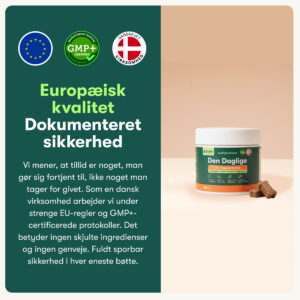 Päivittäinen