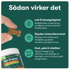 Päivittäinen