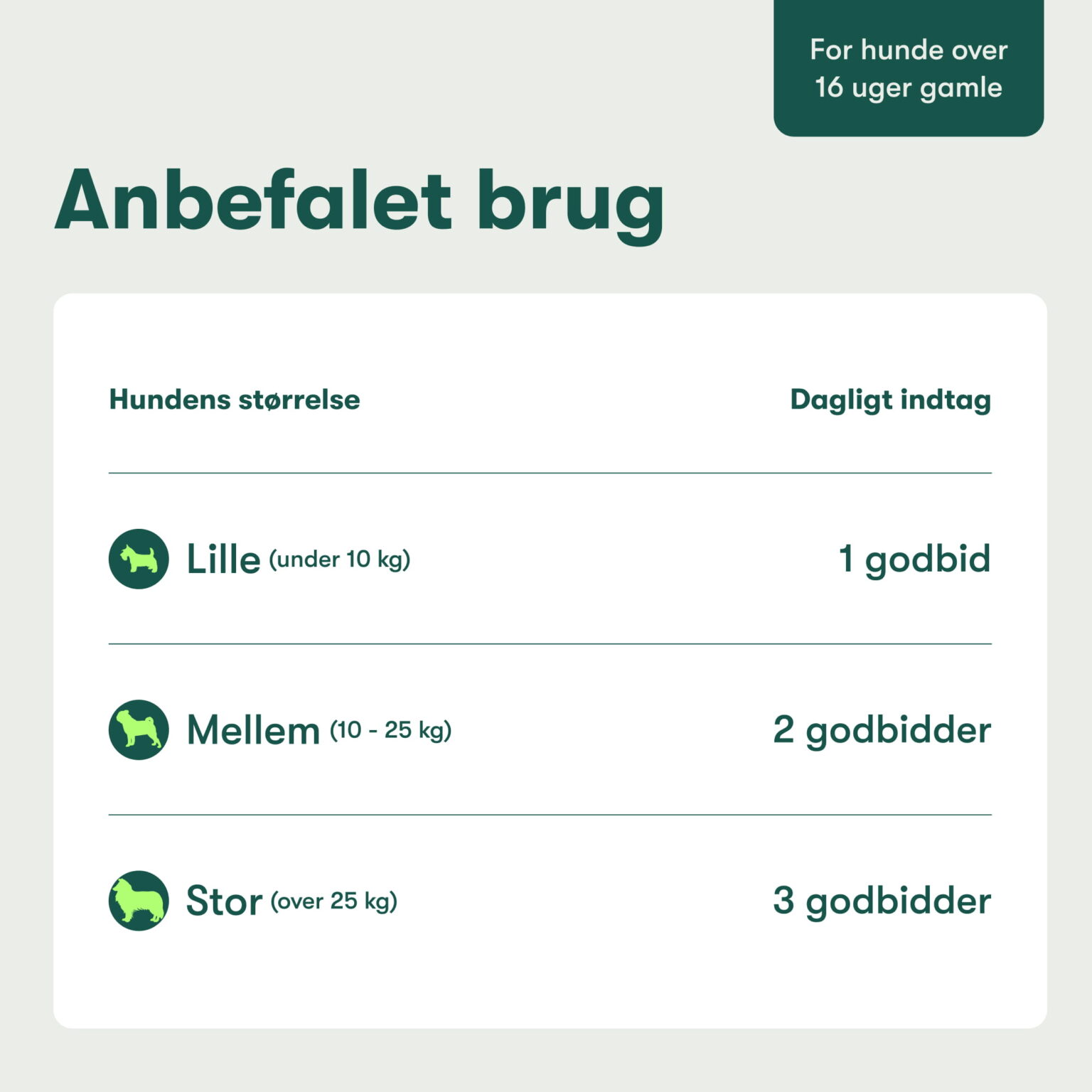 Päivittäinen