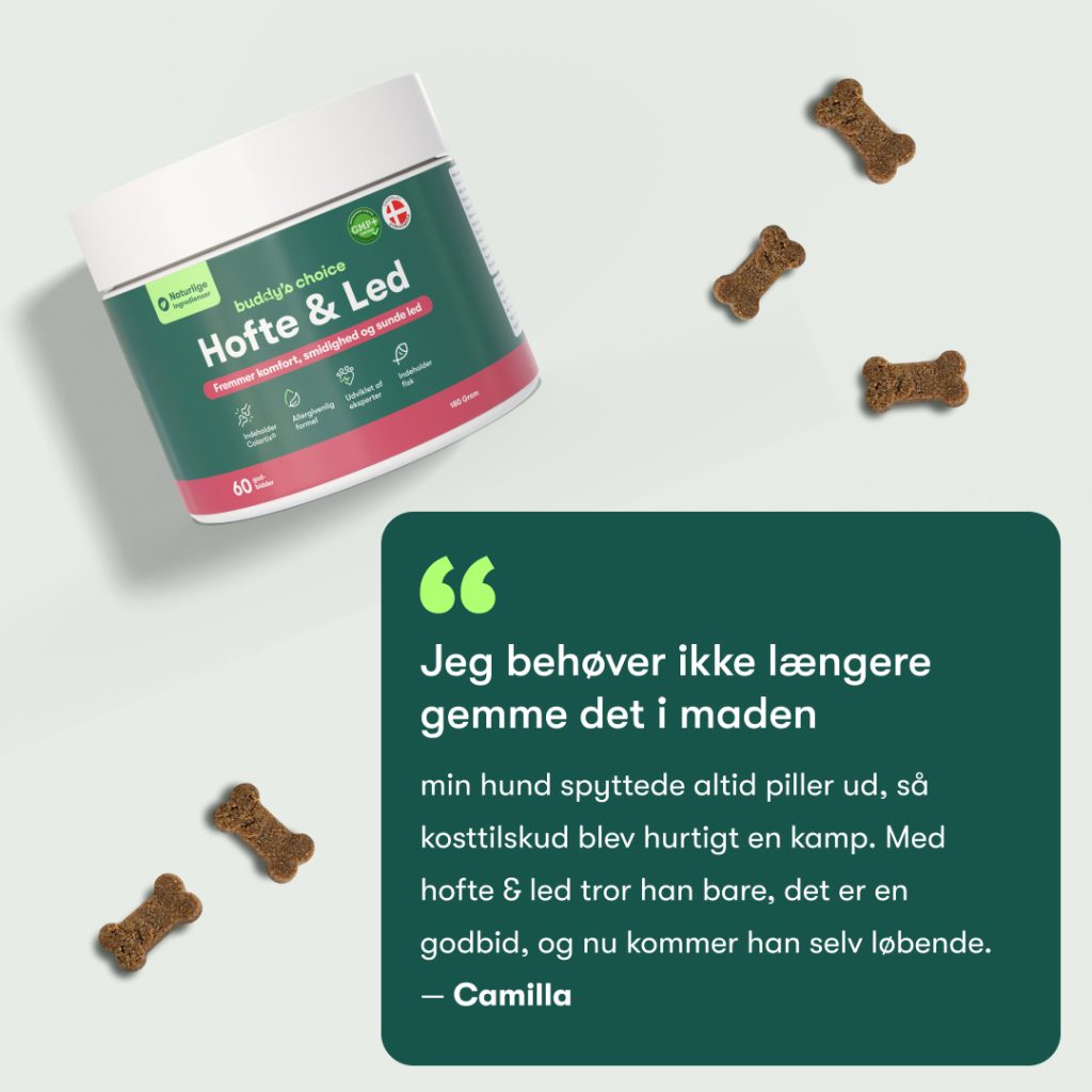 Bøtte med Hofte & Led hundekosttilskud, knogleformede godbidder og kundecitat.