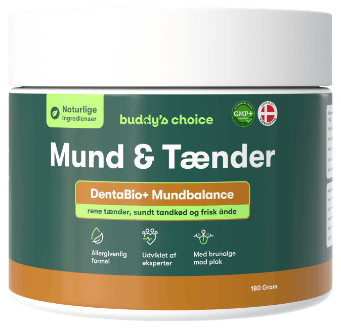 Buddys Choice krukke Mund & Tænder DentaBio+ Mundbalance, naturlig tandpleje til rene tænder, 180 g