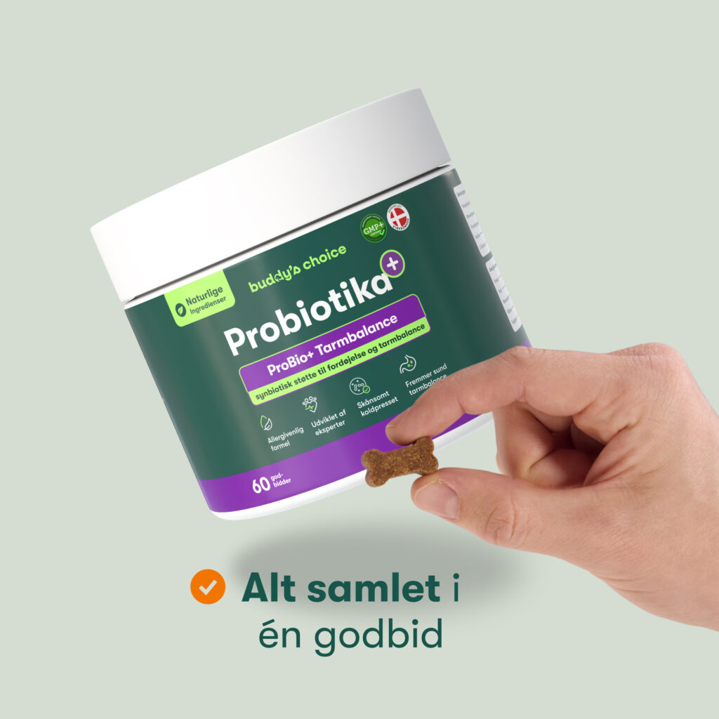Hånd holder knogleformet godbid foran grøn Probiotika-beholder til kæledyr med synlig etiket