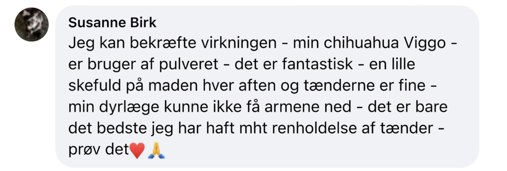Social kommentar hvor en bruger anbefaler pulver til sin chihuahua, roser tændernes forbedring og opfordrer til at prøve det
