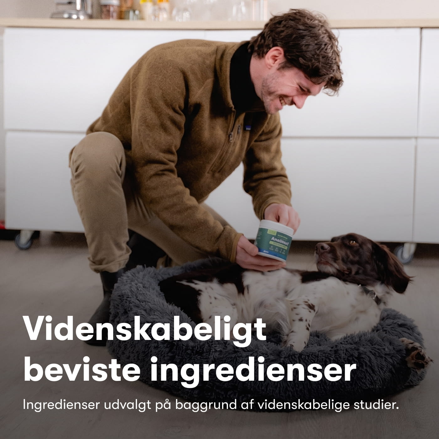 Anaalirauhaset
