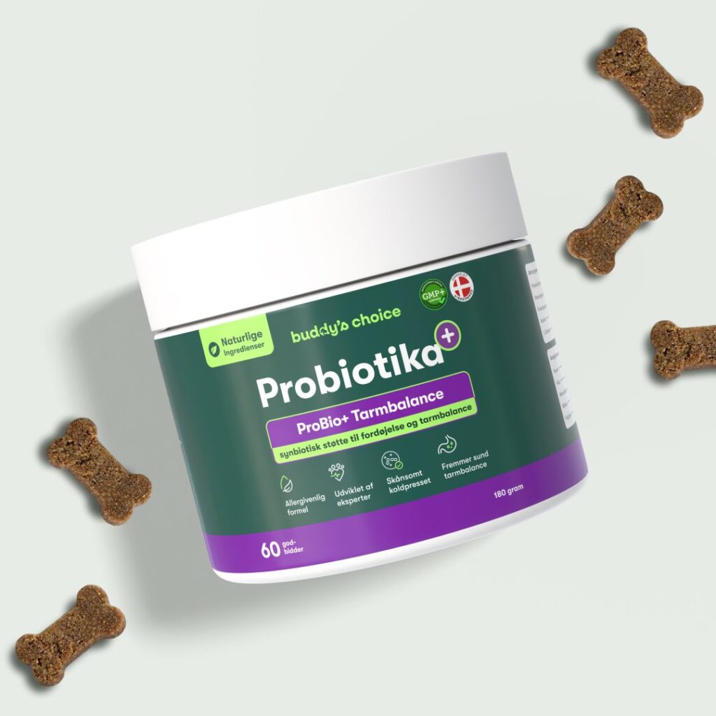 Beholder med Probiotika til hunde ProBio+ tarmbalance, grøn etiket og knogleformede godbidder omkring