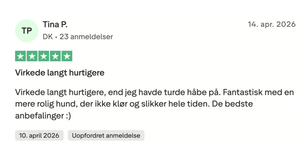 5-stjernet anmeldelse af Tina P. (DK): Virkede langt hurtigere – hund blev roligere og holdt op med at klø og slikke.