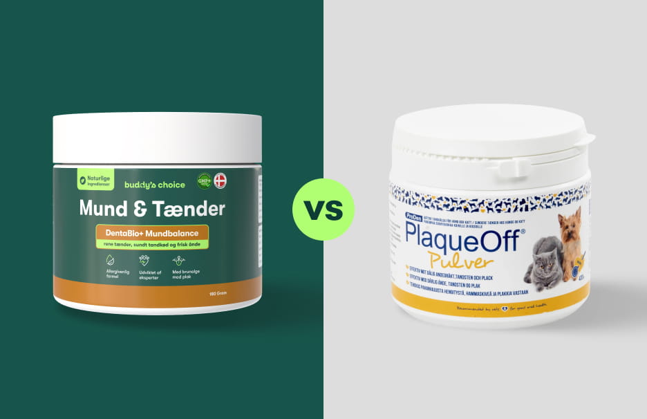 Sammenligning af to tandplejeprodukter til kæledyr: Mund & Tænder vs PlaqueOff pulver