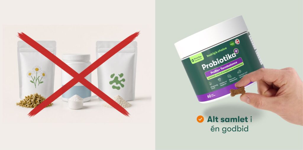 Probiotika-beholder og hånd med godbid, rødt kryds over poser med pulver