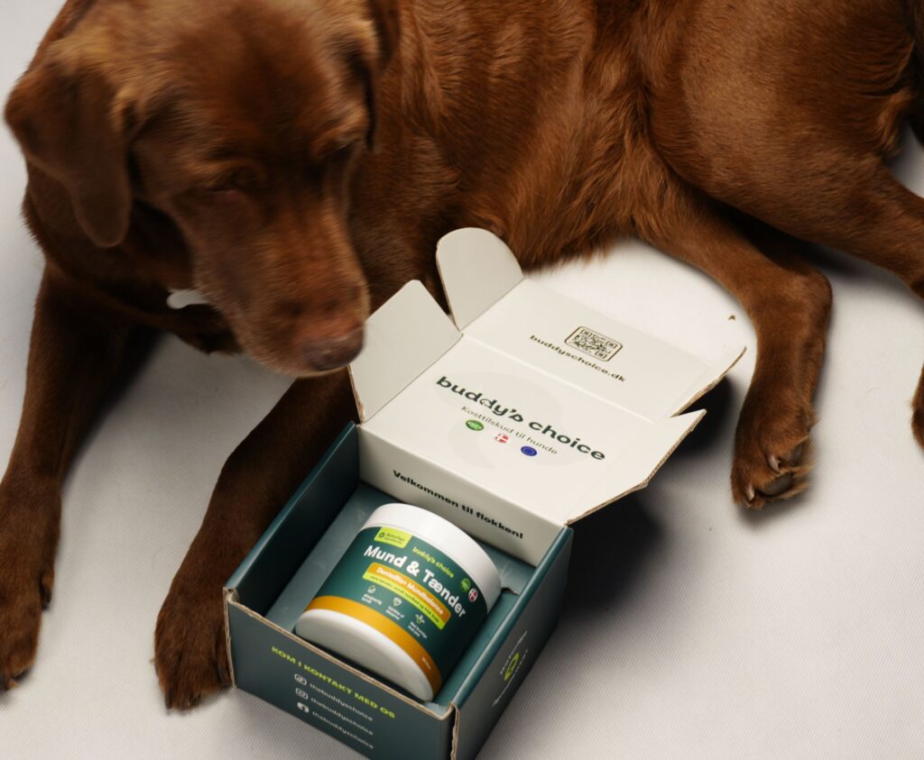Brun hund ligger ved en åben æske med kosttilskud mærket Buddy's Choice
