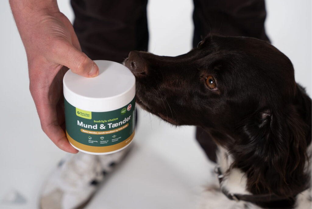 Person holder Mund & Tænder hundetandpleje, hund snuser til beholderens låg