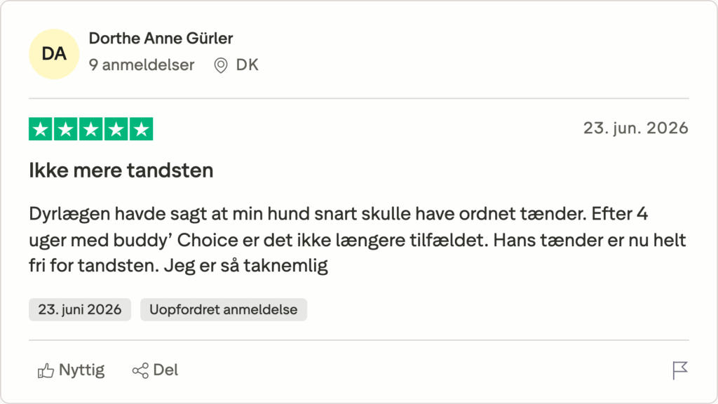 5-stjernet Trustpilot-anmeldelse: Ikke mere tandsten – hundens tænder blev fri for tandsten efter 4 uger