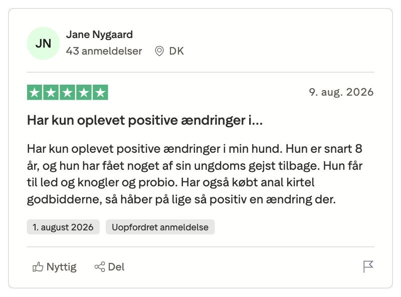 Trustpilot 5-stjernet anmeldelse fra dansk bruger om positive ændringer i hendes næsten 8-årige hund