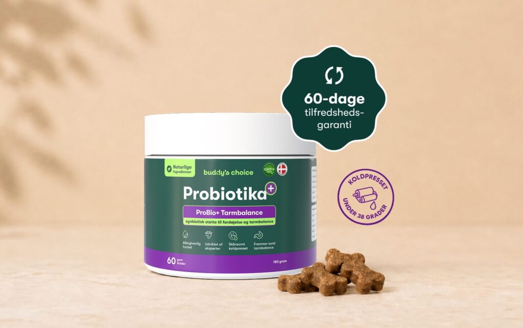 Grøn beholder med Probiotika ProBio+ tarmbalance og knogleformede hundegodbidder, 60-dages tilfredshedsgaranti
