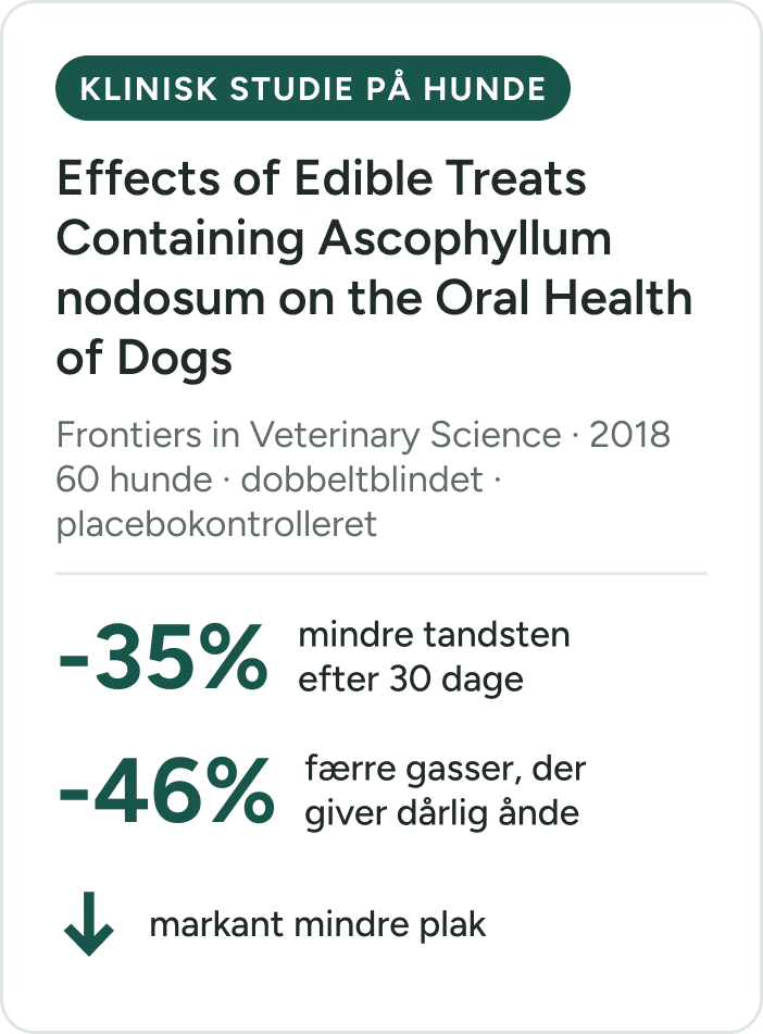 Klinisk studie på hunde med brunalgen Ascophyllum nodosum, 2018