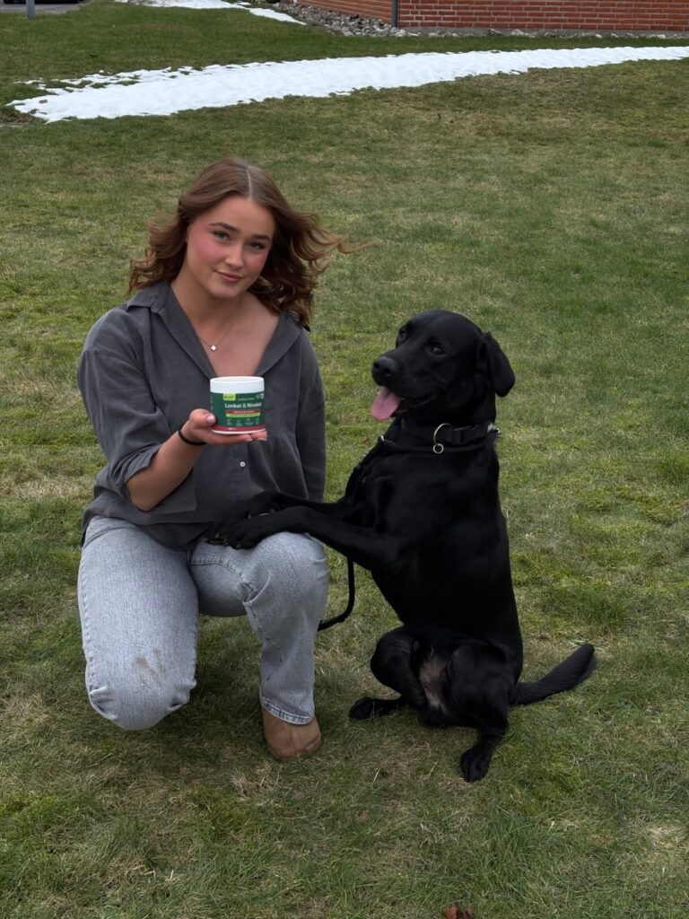 Kvinde og sort labrador med Hofte & Led