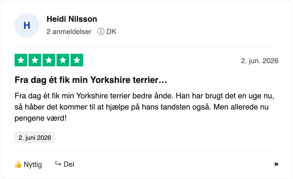 Heidi Nilsson 5-stjernet anmeldelse: Yorkshires ånde forbedret fra dag ét, 2. juni 2026