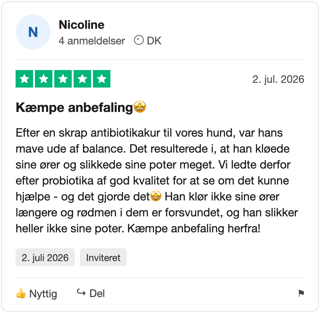 Trustpilot-anmeldelse fra Nicoline: Kæmpe anbefaling🤩