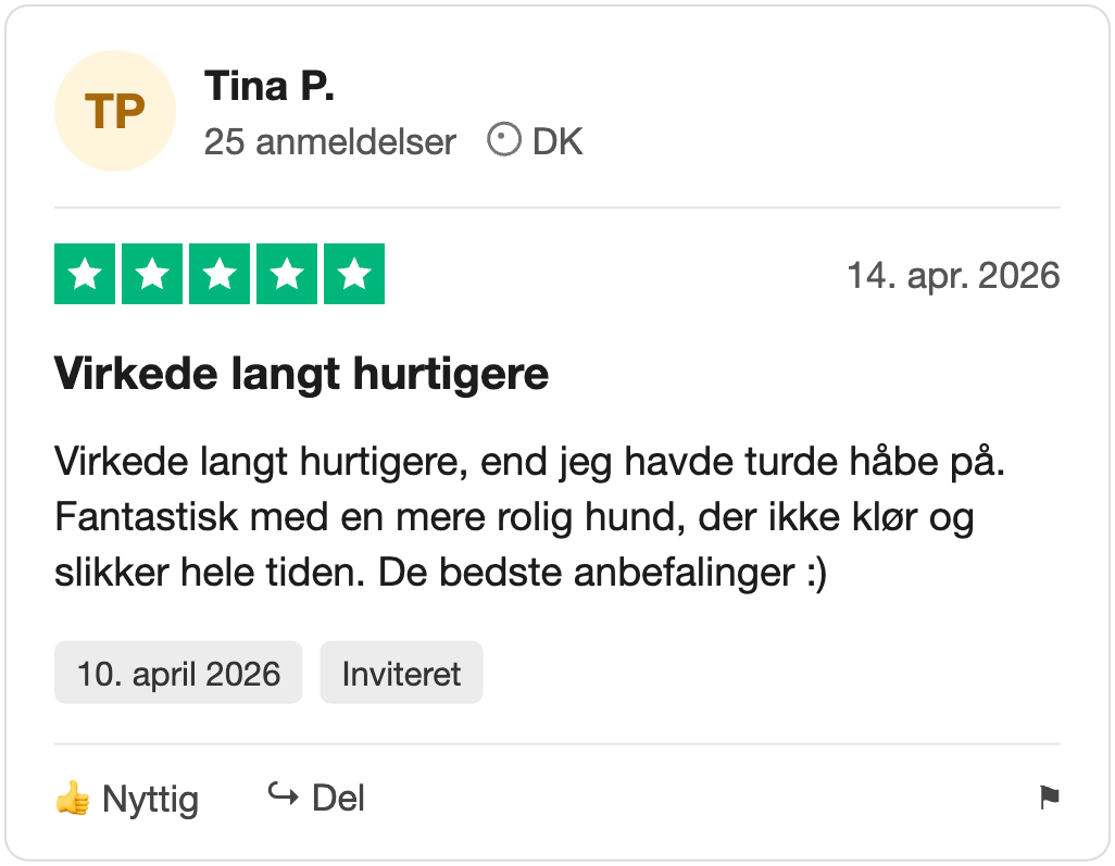 Trustpilot-anmeldelse fra Tina P.: Virkede langt hurtigere