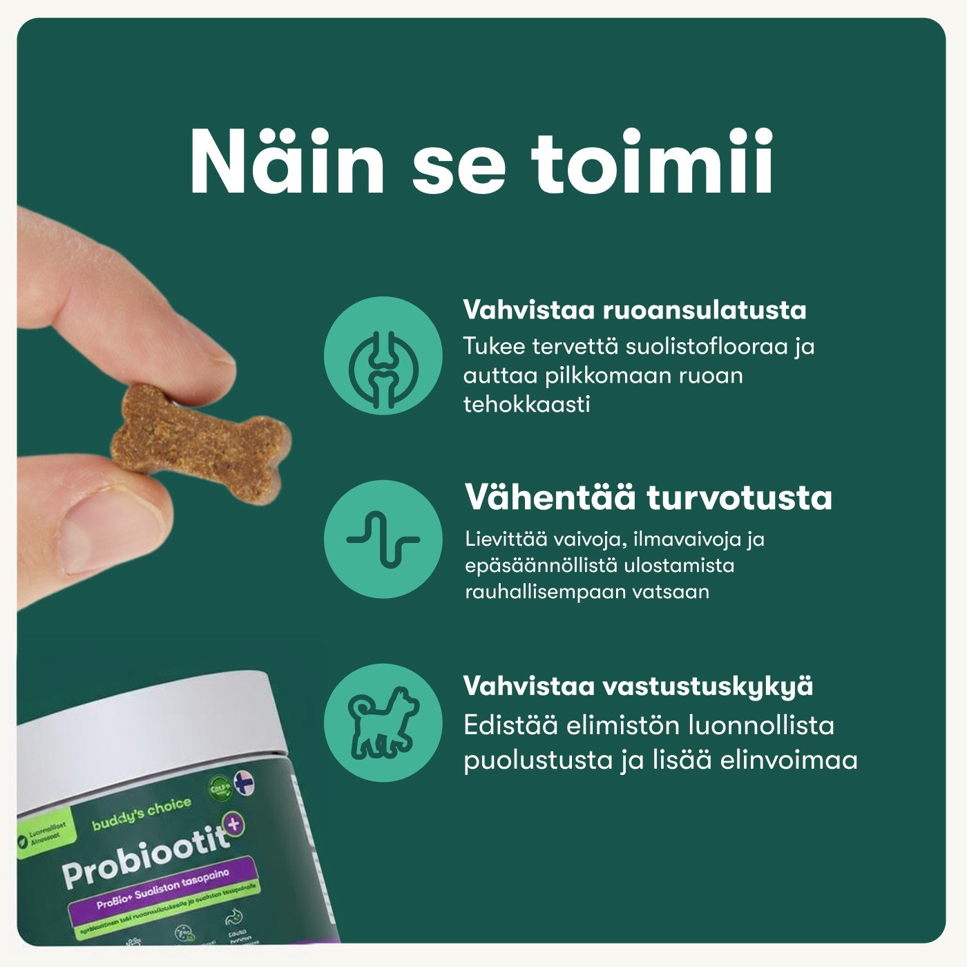 Probiootit