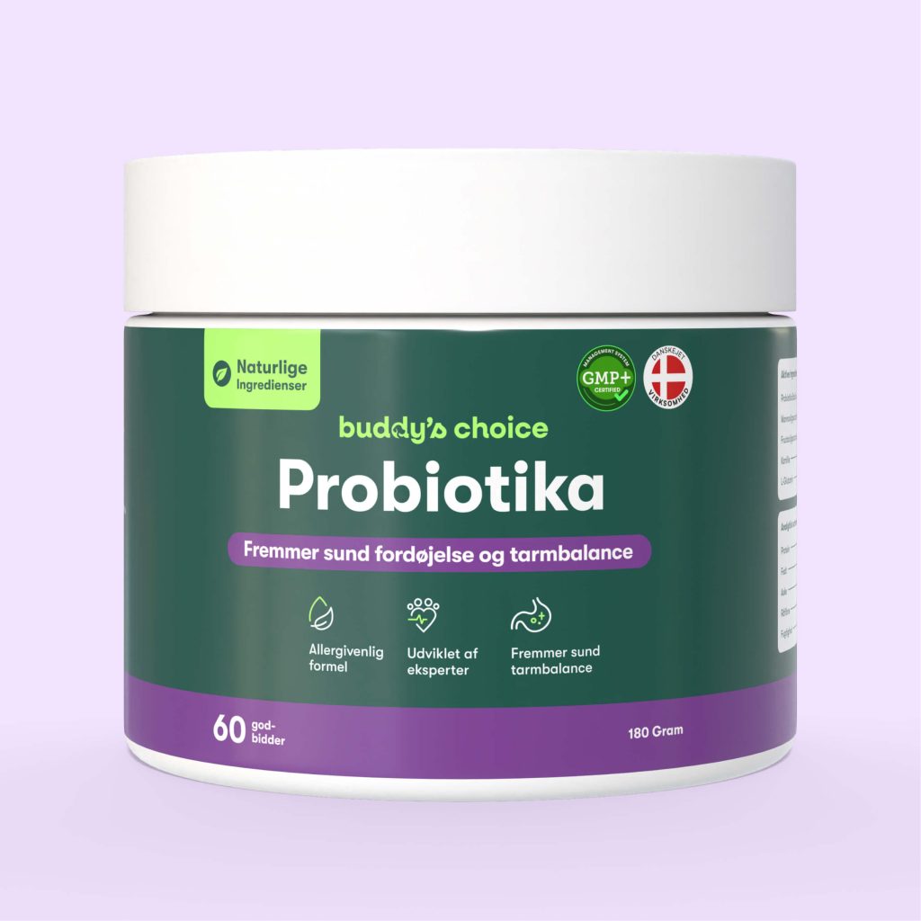 Buddy's Choice Probiotika bøtte, 60 godbidder – probiotisk tilskud for sund fordøjelse og tarmbalance