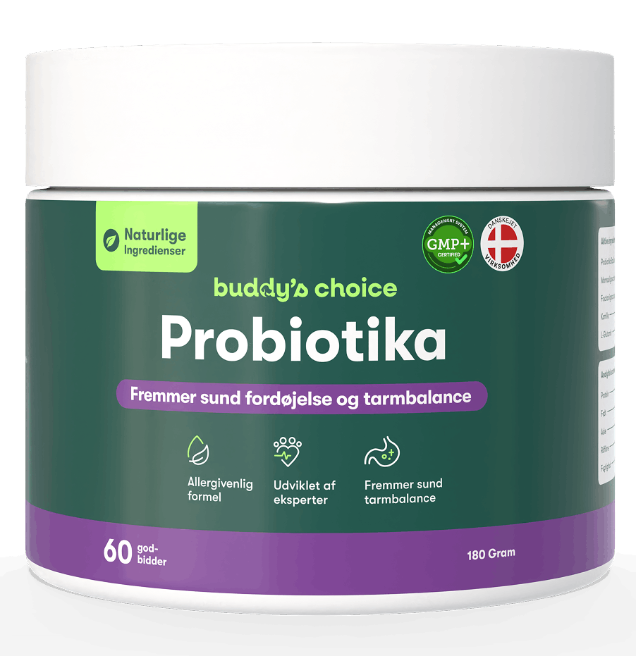 Buddy's Choice Probiotika bøtte med 60 godbidder, fremmer sund fordøjelse og tarmbalance