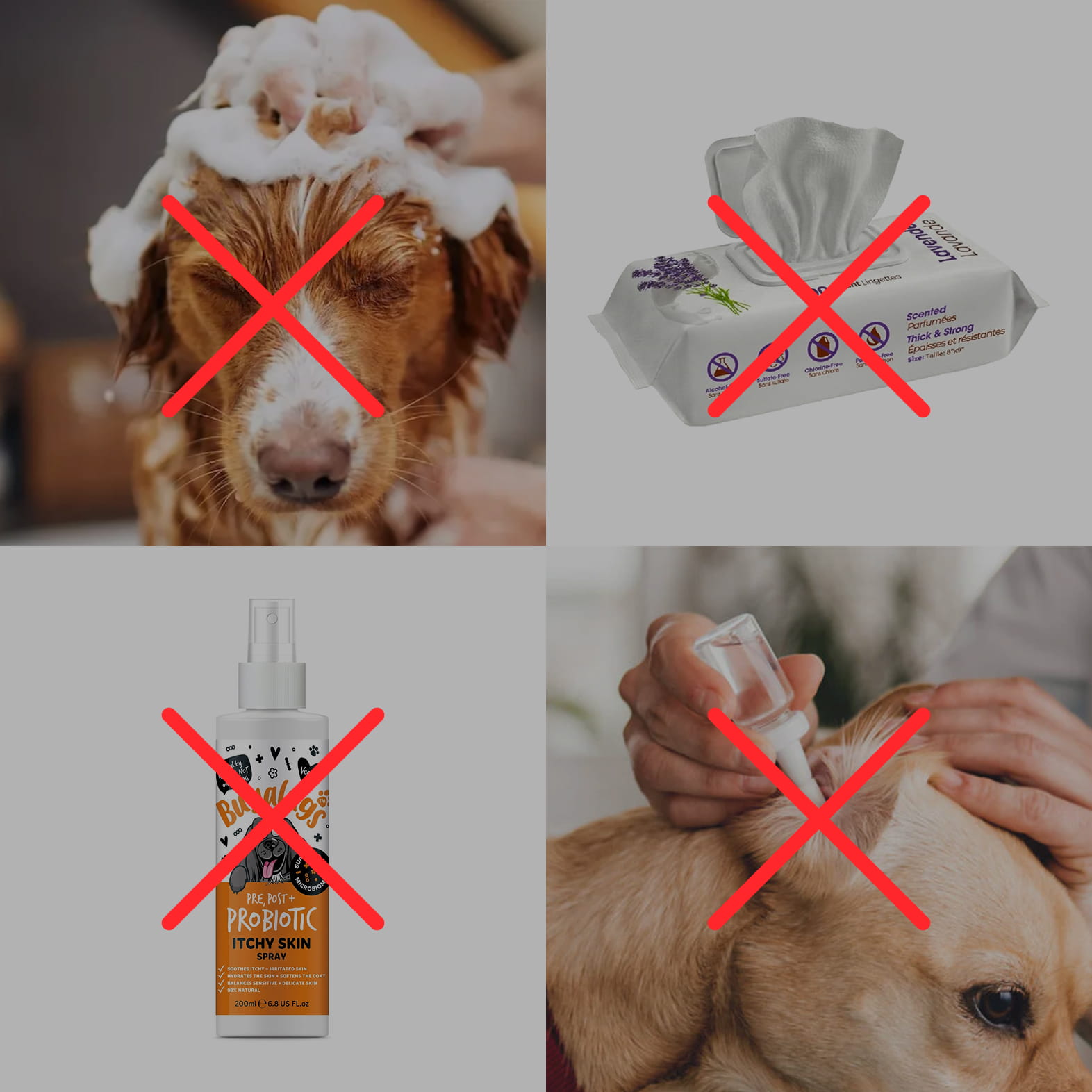 Rødt kryds over forskellige uegnede hundeprodukter: bad, vådservietter, spray og øredråber