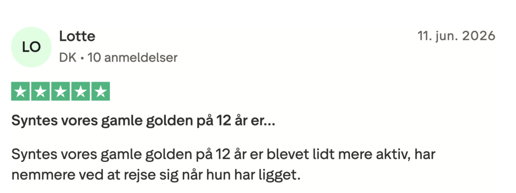 Femstjernet anmeldelse fra Lotte: vores 12-årige golden er blevet mere aktiv og rejser sig nemmere