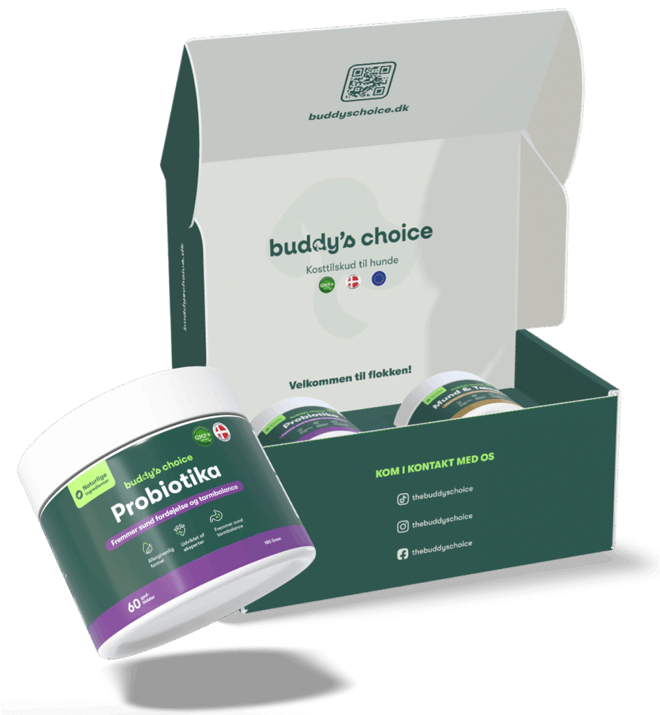 Åben Buddy's Choice-æske med probiotika til hunde og fremhævet Probiotika-bøtte i forgrunden