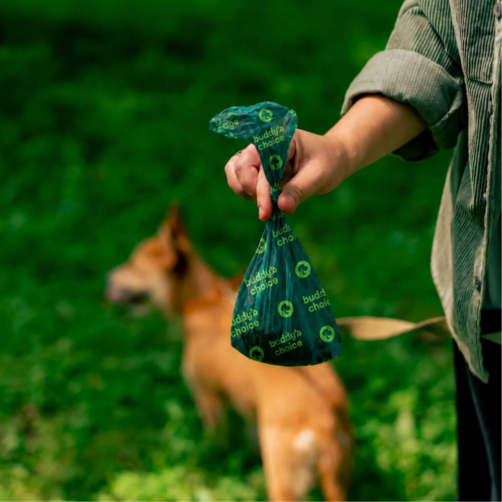 Hånd holder grøn hundepose knyttet efter gåtur i park, uskarp hund i baggrunden