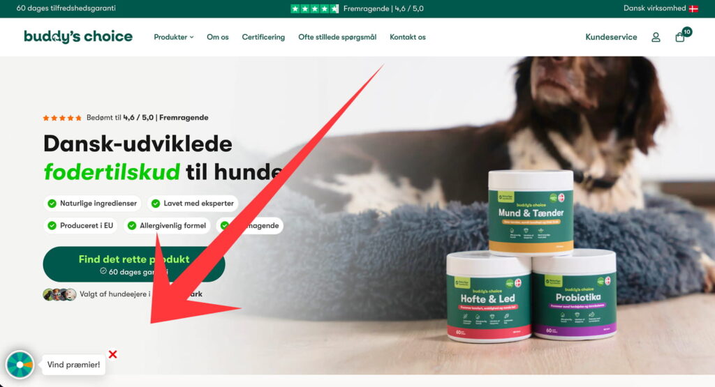Buddy's Choice hjemmeside: tre beholdere med hundetilskud foran sovende hund, stor rød pil