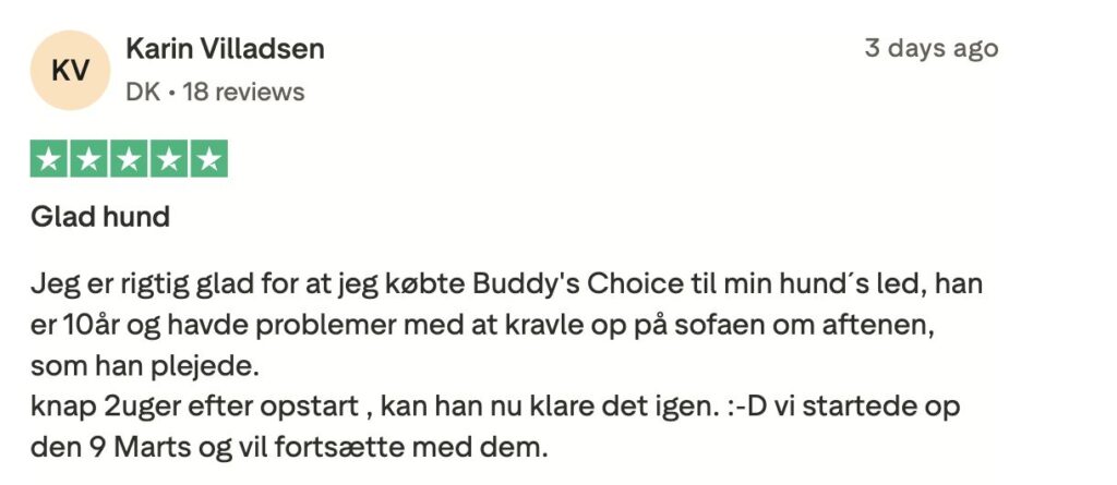 5-stjernet anmeldelse: Glad hund - ejer oplever forbedret hofte og led hos 10-årig hund efter Buddy's Choice