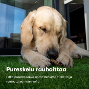 Kaninnahkaherkku koirille