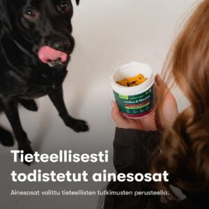Lonkat & Nivelet