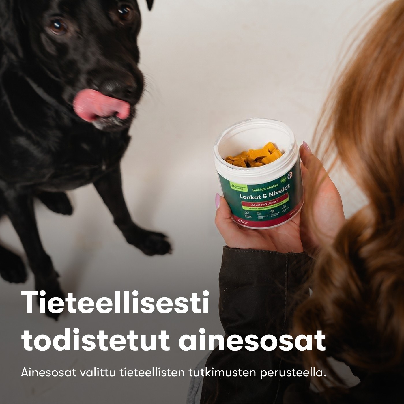 Lonkat & Nivelet