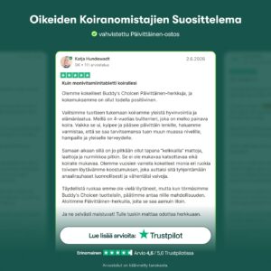 Päivittäinen
