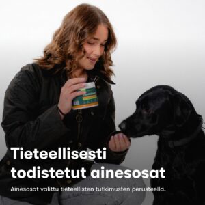 Päivittäinen