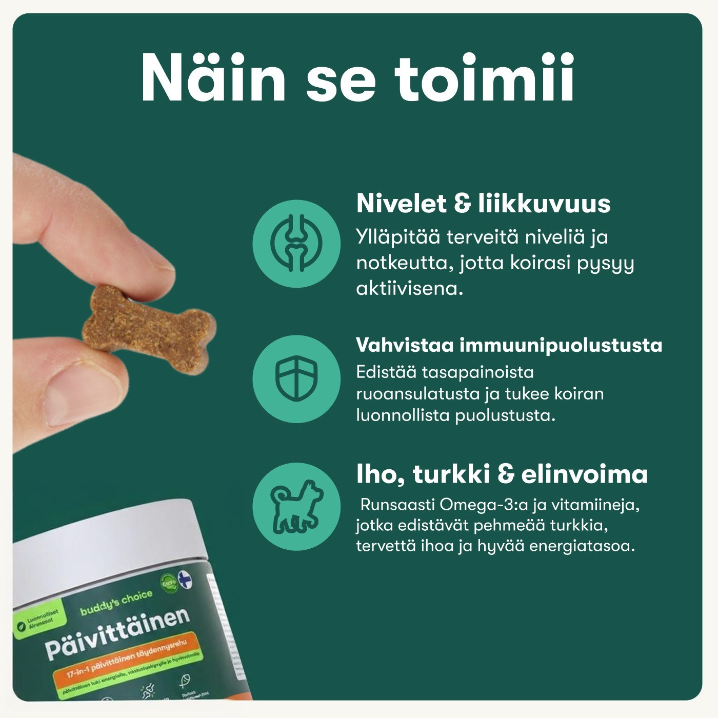 Päivittäinen
