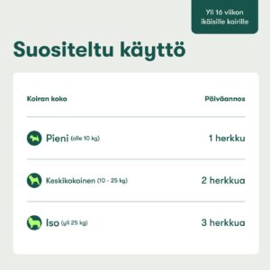 Päivittäinen