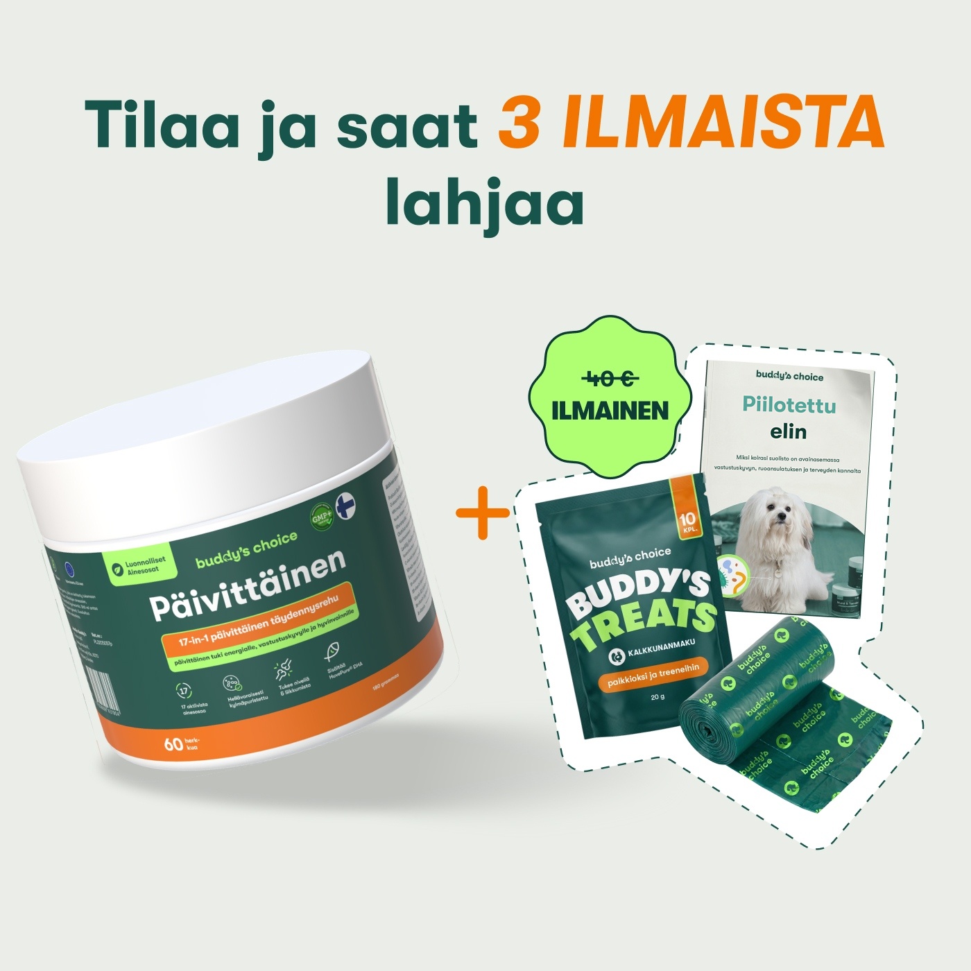 Päivittäinen