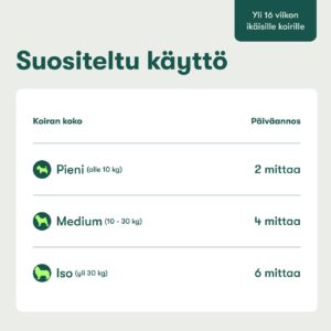 Suu & Hampaat