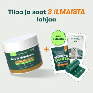 Suu & Hampaat